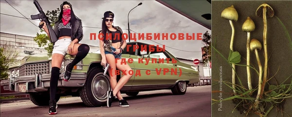 дмт Покровск